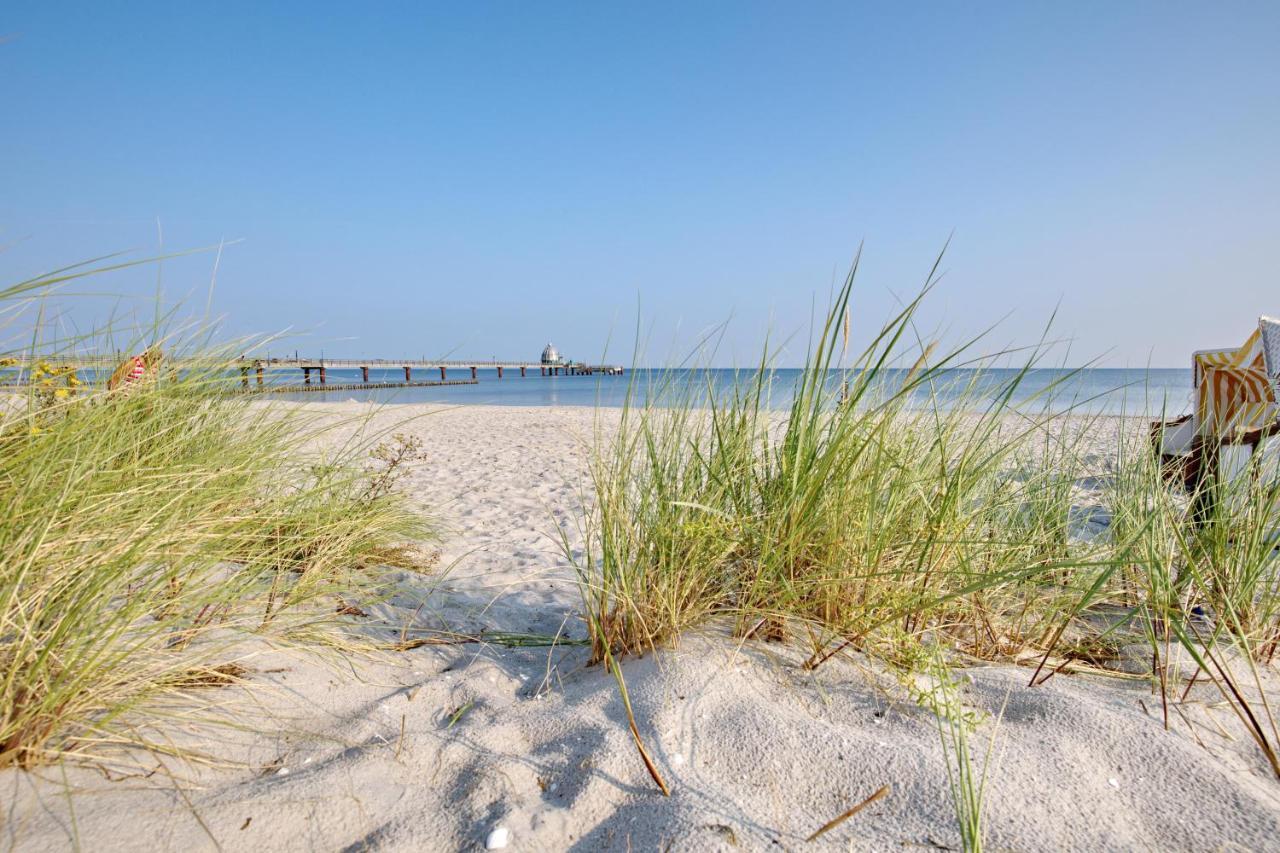Traumhaus Unter Reet Apartment Zingst Exterior photo